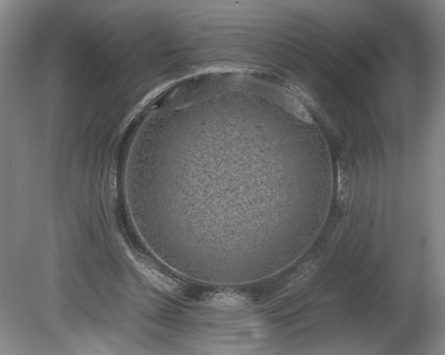 X0000081570348200701221058