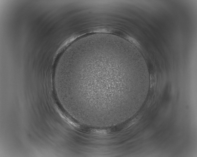 X0000081570349200701221058