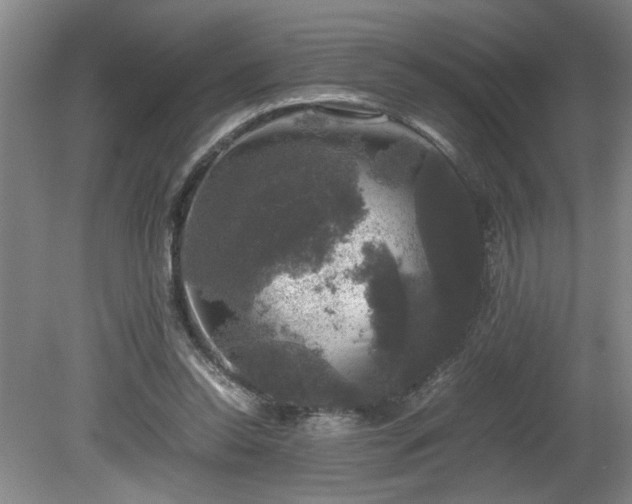 X0000081570350200701221058