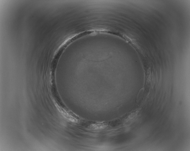 X0000081570351200701221058