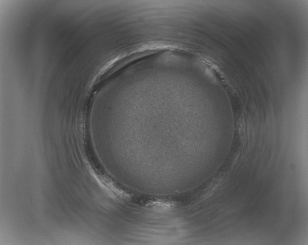 X0000081570352200701221058