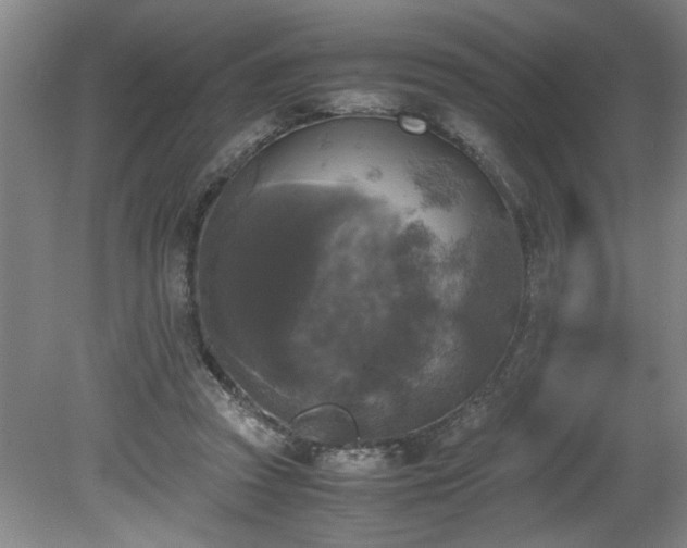 X0000081570353200701221059