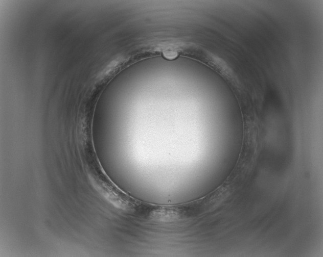 X0000081570354200701221059