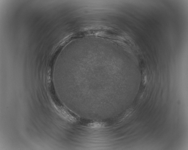 X0000081570356200701221059