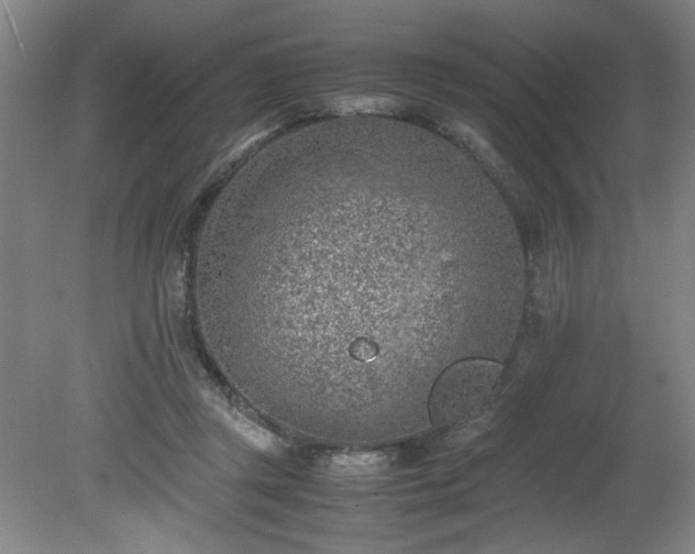 X0000081570357200701221059