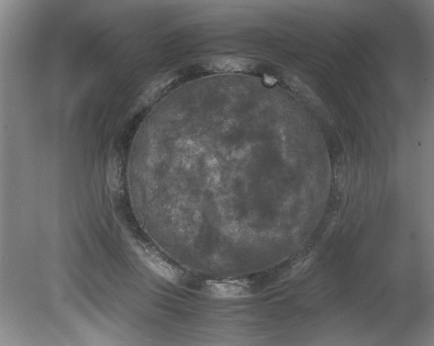 X0000081570359200701221059