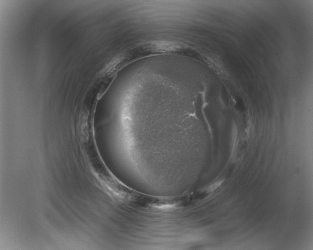 X0000081570360200701221059