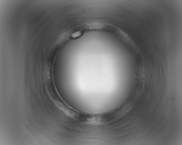 X0000081570362200701221059