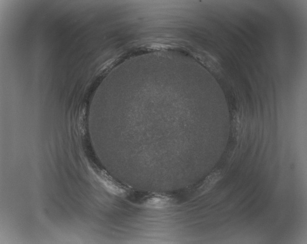 X0000081570364200701221059