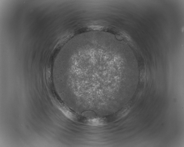 X0000081570365200701221059