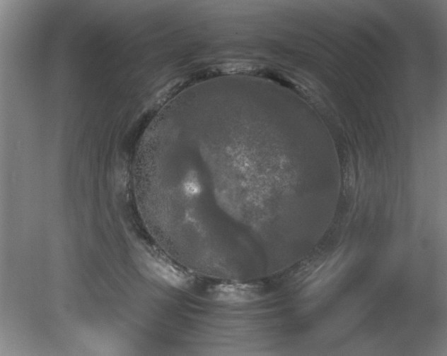 X0000081570367200701221059