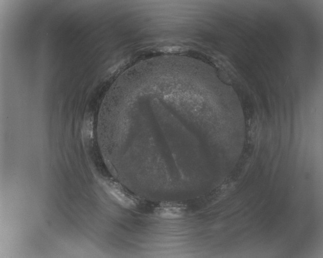 X0000081570368200701221059