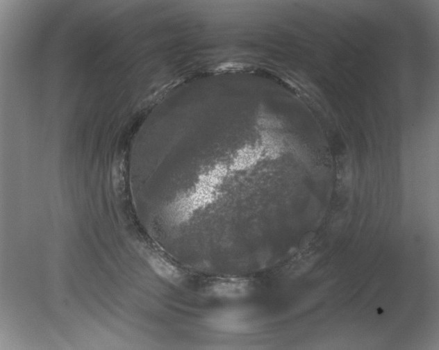 X0000081570369200701221059