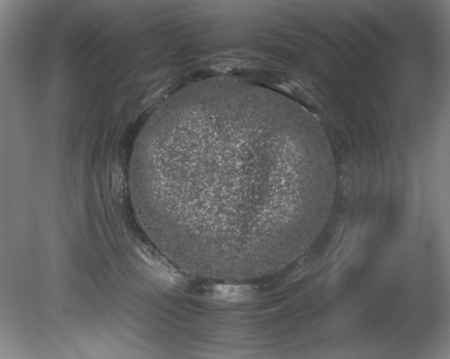 X0000081570371200701221059