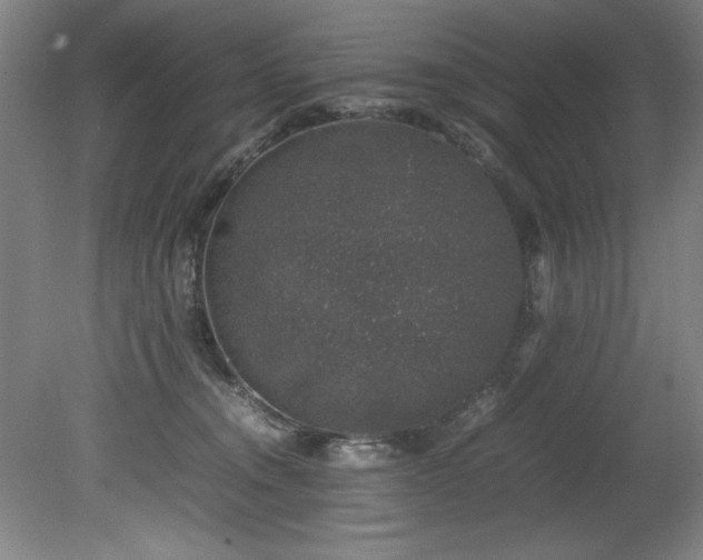 X0000081570372200701221059