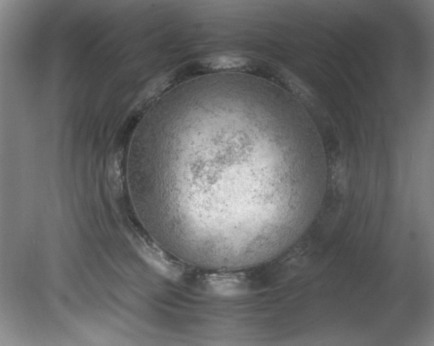 X0000081570373200701221059