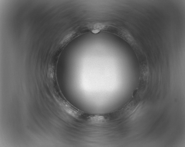 X0000081570374200701221059