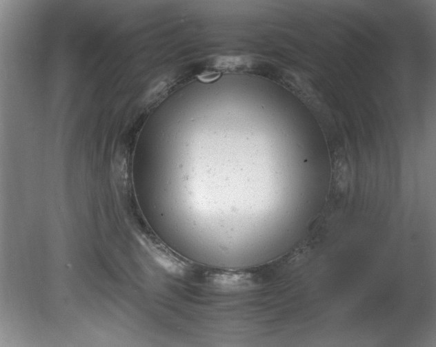 X0000081570375200701221059