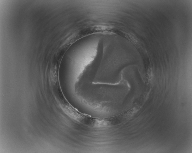 X0000081570376200701221059