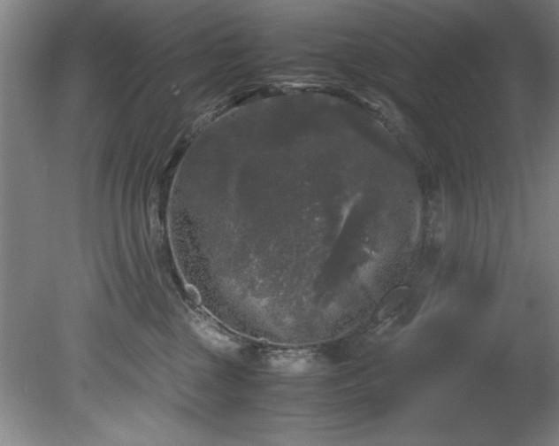 X0000081570377200701221059