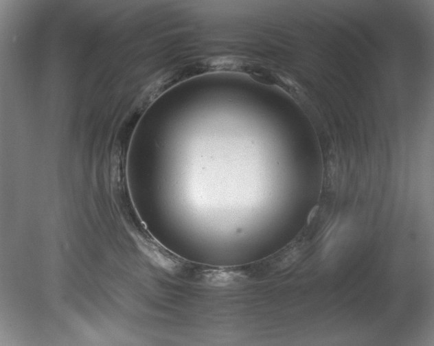 X0000081570379200701221059