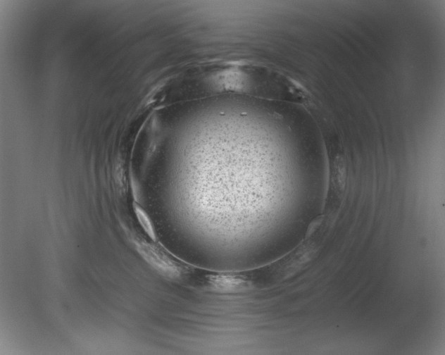 X0000081570380200701221059