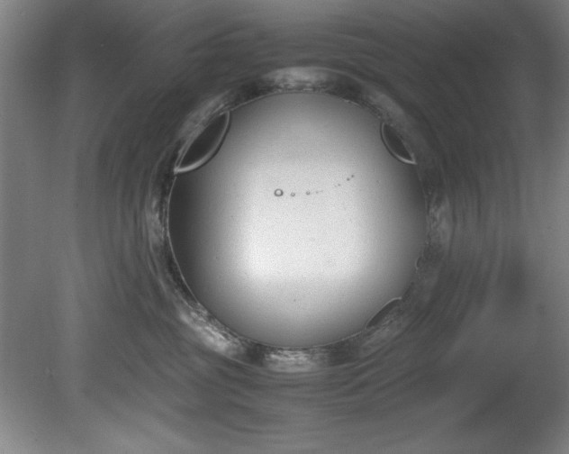 X0000081570381200701221059