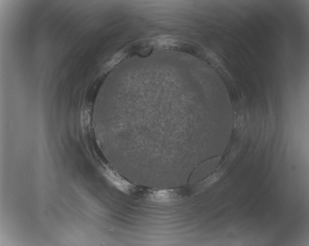 X0000081570382200701221059