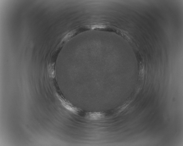 X0000081570383200701221059