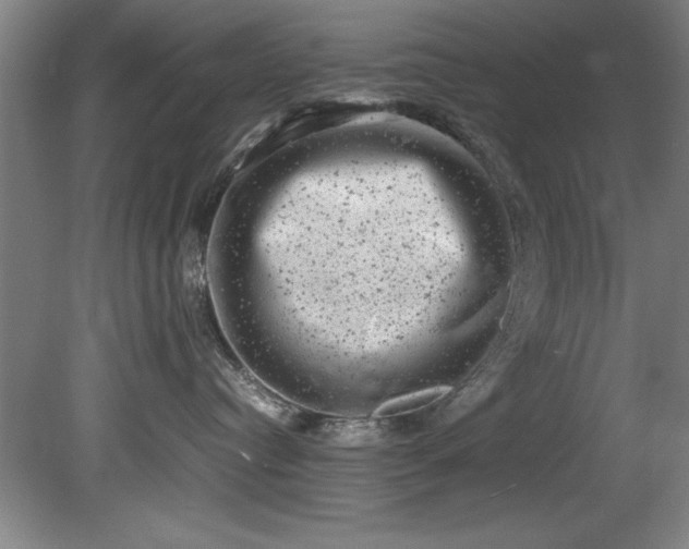 X0000081570384200701221059