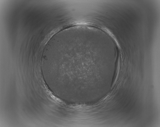 X0000081570385200701221058