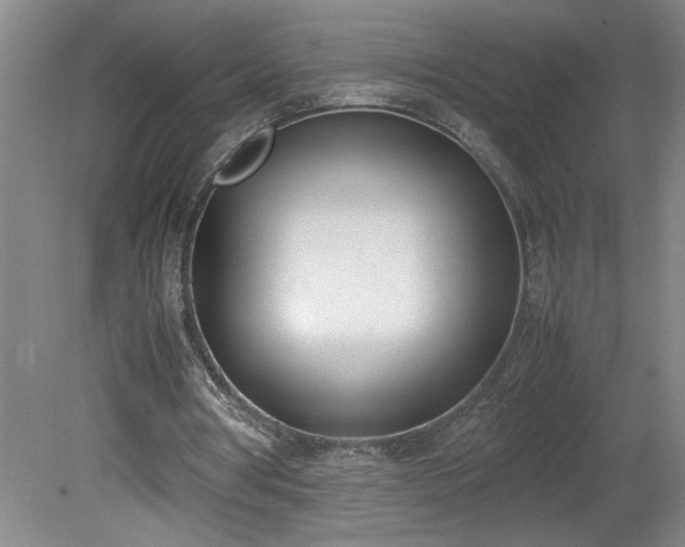 X0000081570386200701221058