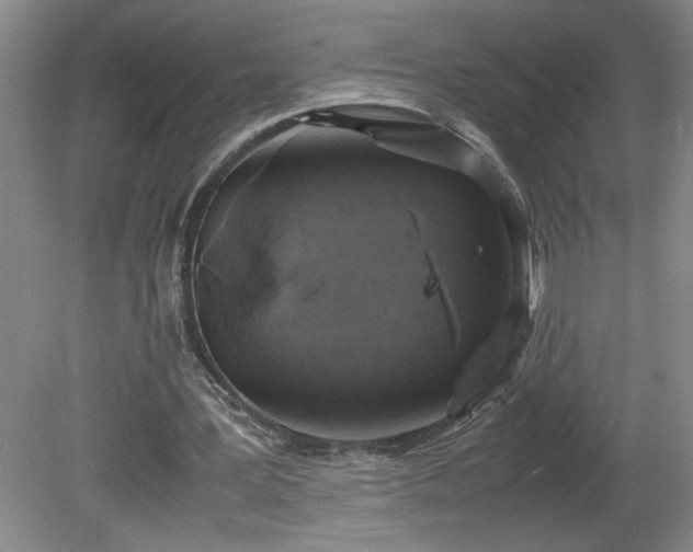 X0000081570387200701221058