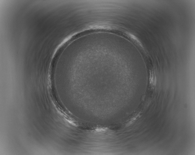 X0000081570388200701221058