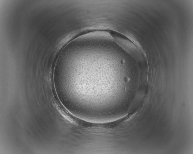 X0000081570389200701221058