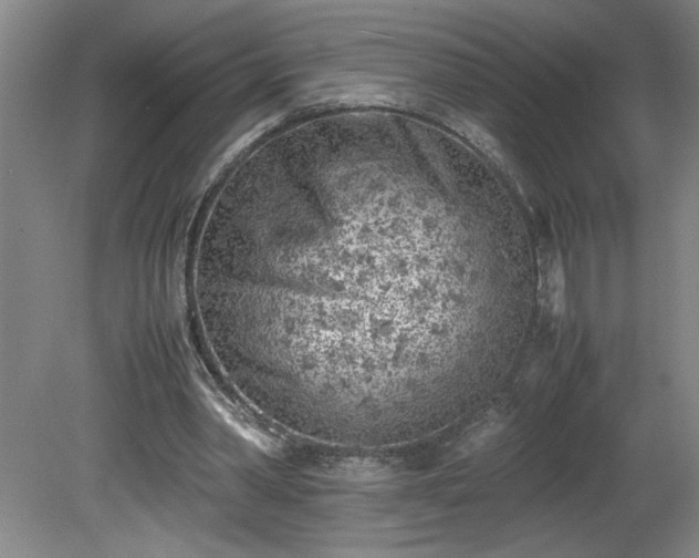 X0000081570390200701221058