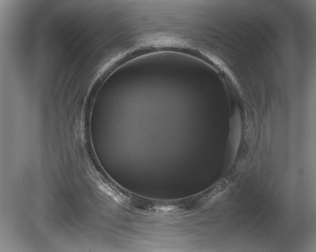 X0000081570391200701221058