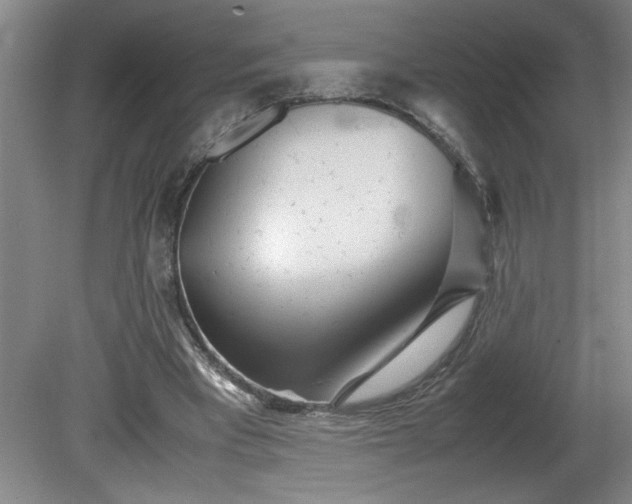 X0000081570393200701221058