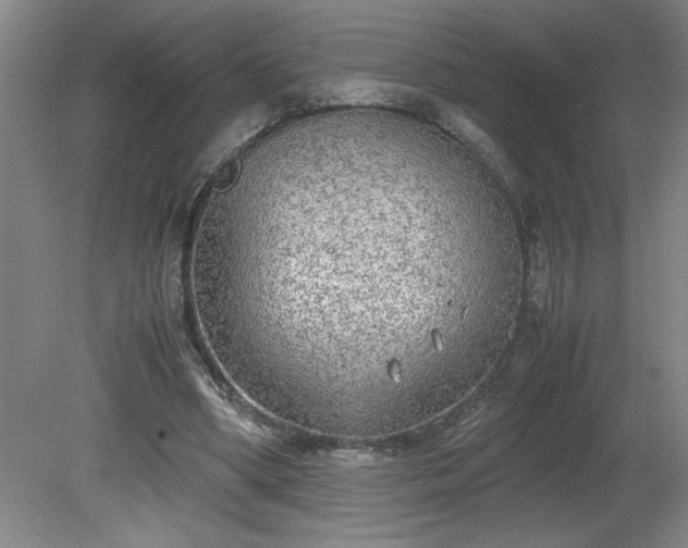 X0000081570394200701221058