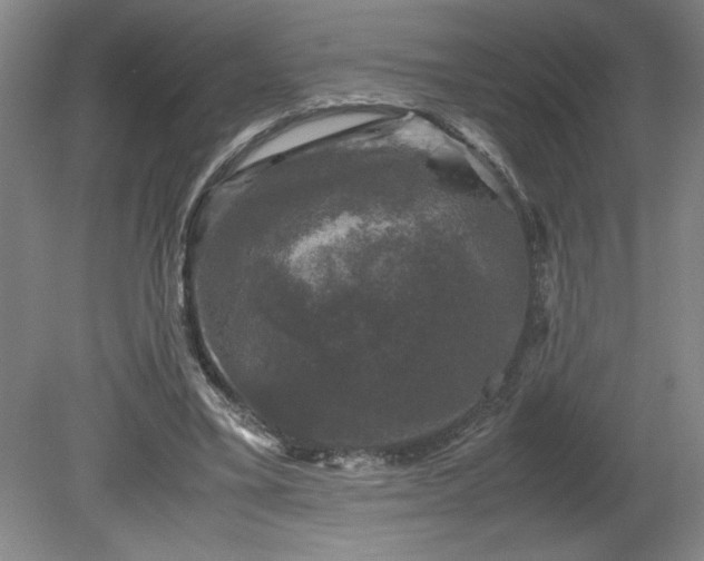 X0000081570395200701221058