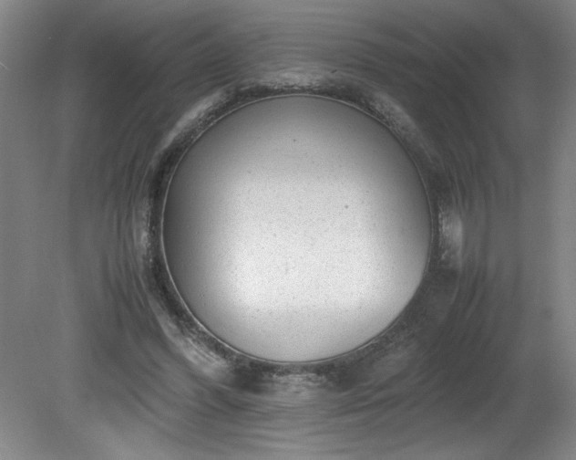 X0000081570396200701221058