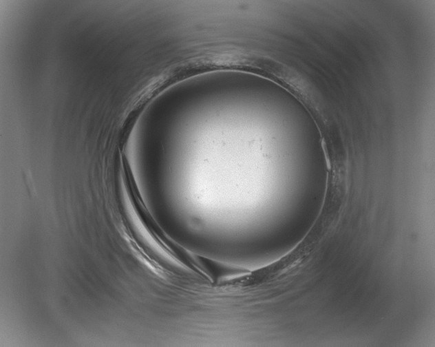 X0000081570397200701221058