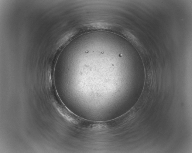 X0000081570398200701221058