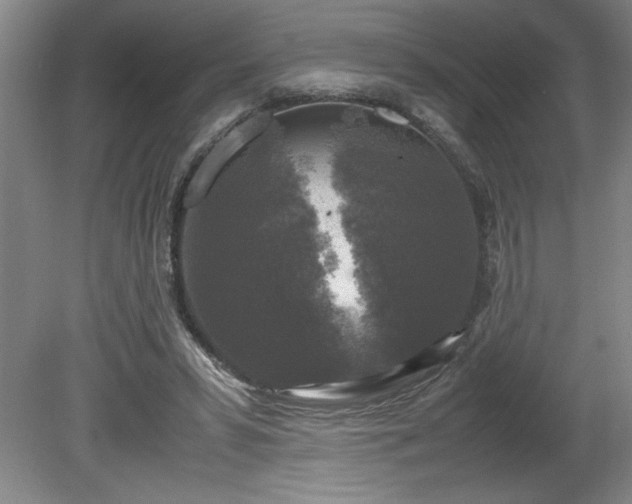 X0000081570399200701221058