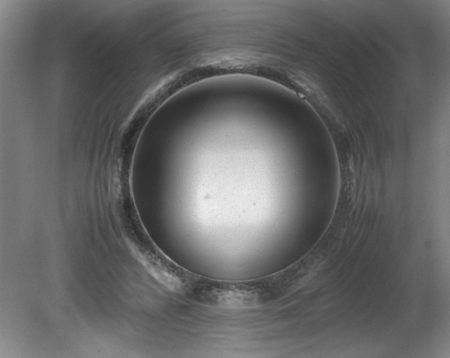 X0000081570400200701221058