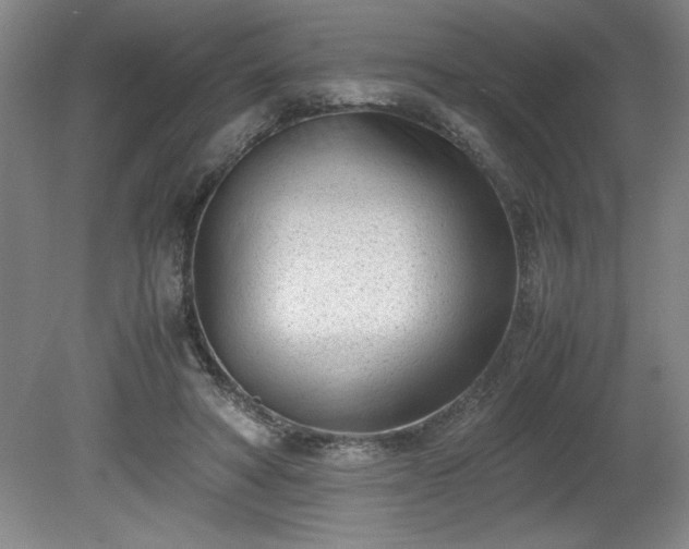 X0000081570402200701221058