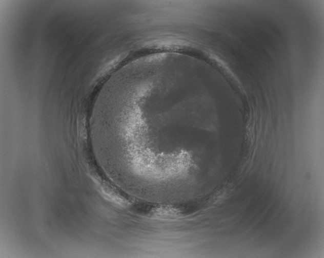 X0000081570403200701221058