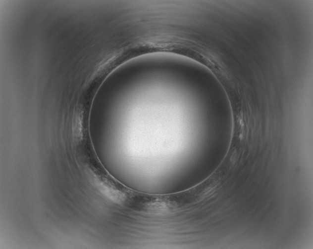 X0000081570404200701221058