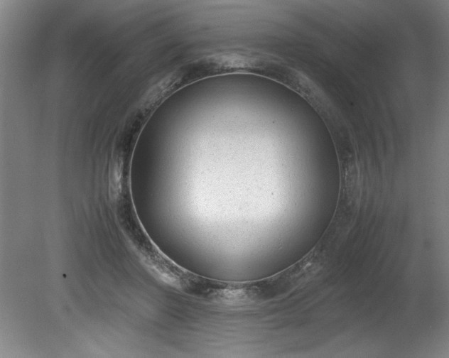 X0000081570406200701221058