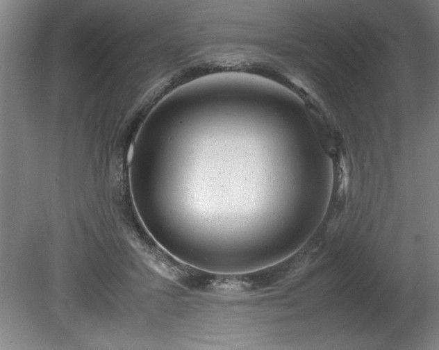 X0000081570407200701221058